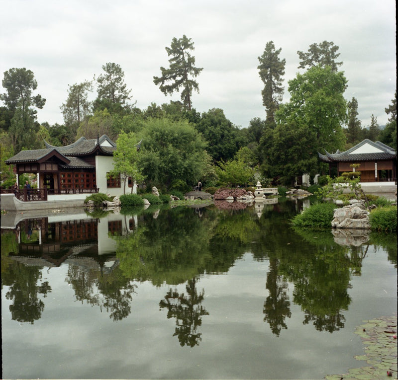Japanese Garden